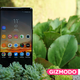 Ilustración para el artículo titulado Probamos el Samsung Galaxy Note 8: sí, solo por la cámara merece la pena pagar mil dólares por este móvil